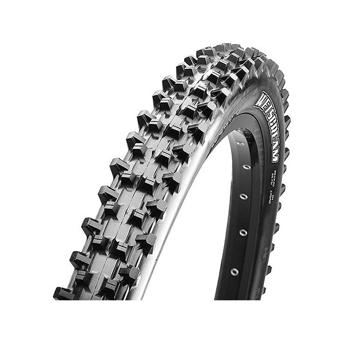 Maxxis plášť WETSCREAM 3CG/DH/TR 29X2.50, kevlar