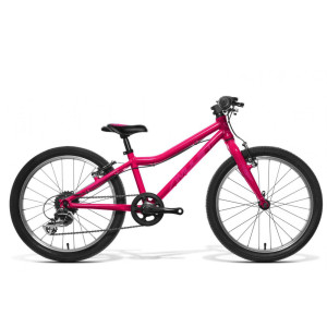 detský bicykel AMULET 20 Tomcat, tmavoružová metalíza/fialový lesk, 2022