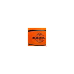 ACTIVE 5 Basketbalová lopta, vel. 5