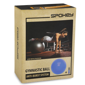 Gymnastická lopta vrátane pumpičky FITBALL